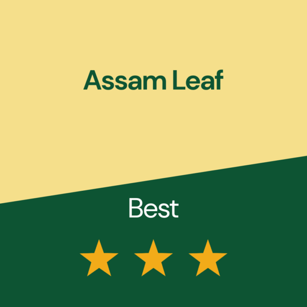 Assam Leaf (5 kgs)
